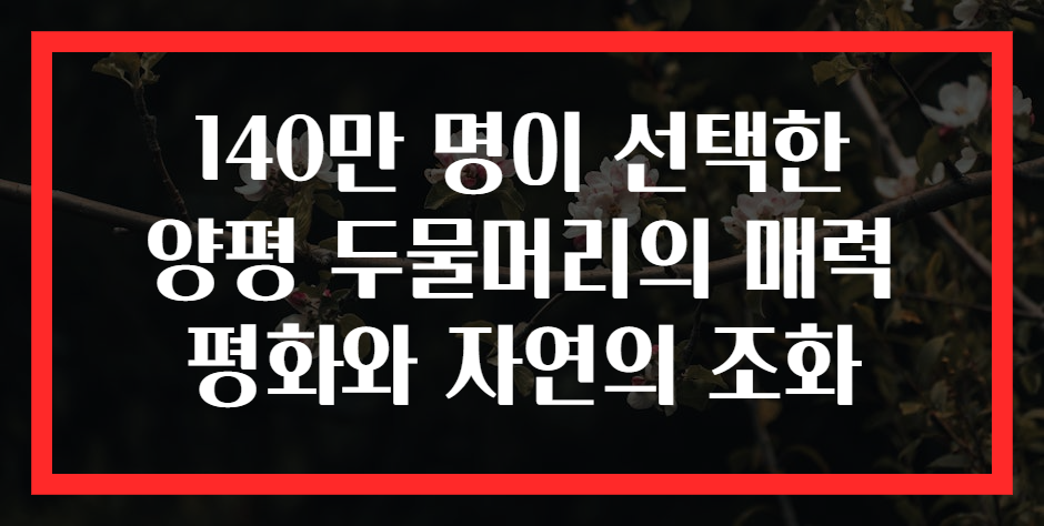 140만 명이 선택한 양평 두물머리의 매력 평화와 자연의 조화
