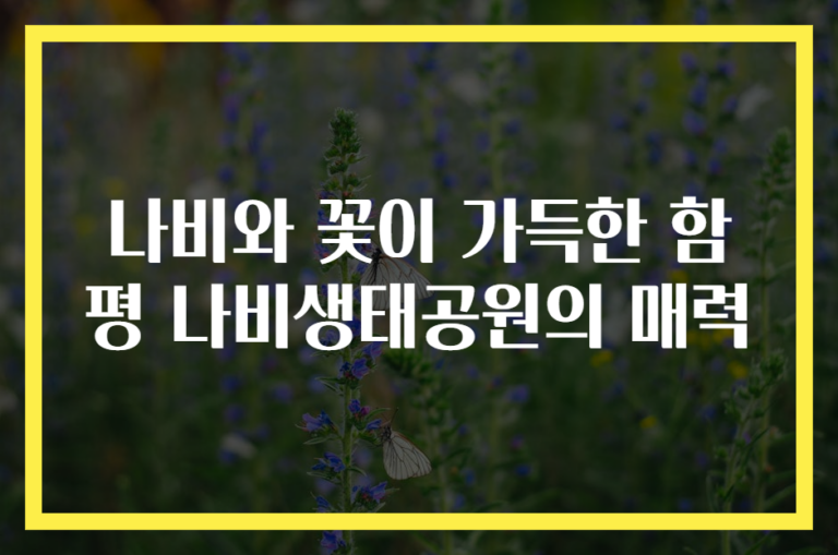 나비와 꽃이 가득한 함평 나비생태공원의 매력