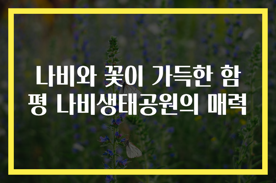 나비와 꽃이 가득한 함평 나비생태공원의 매력