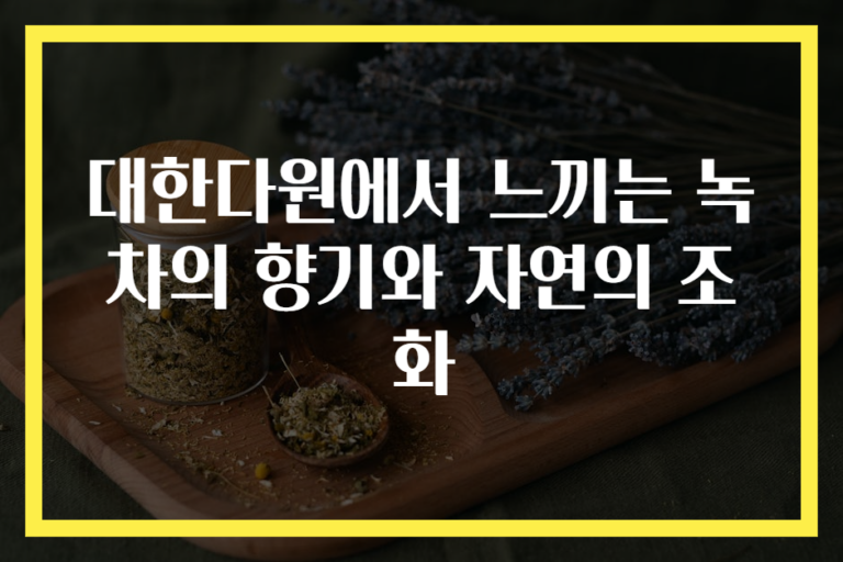 대한다원에서 느끼는 녹차의 향기와 자연의 조화