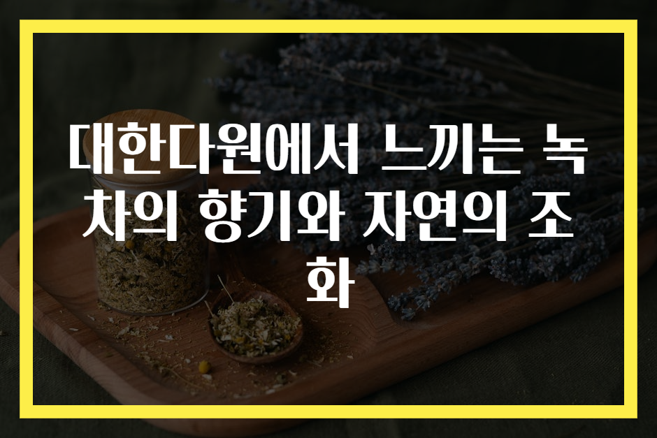 대한다원에서 느끼는 녹차의 향기와 자연의 조화