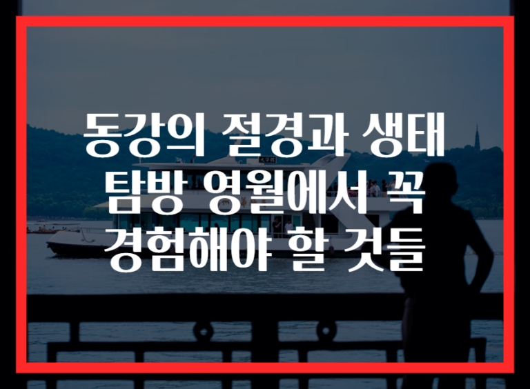 동강의 절경과 생태 탐방 영월에서 꼭 경험해야 할 것들