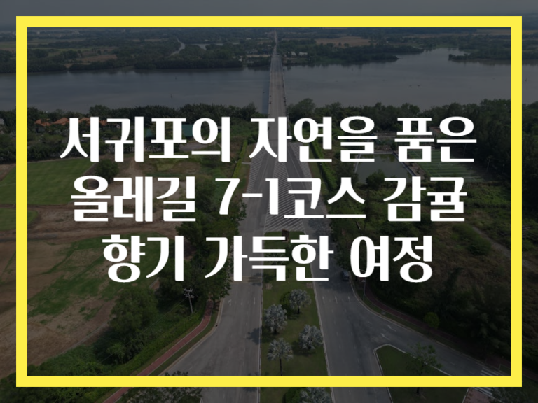 서귀포의 자연을 품은 올레길 7-1코스 감귤 향기 가득한 여정