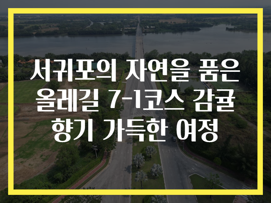 서귀포의 자연을 품은 올레길 7-1코스 감귤 향기 가득한 여정