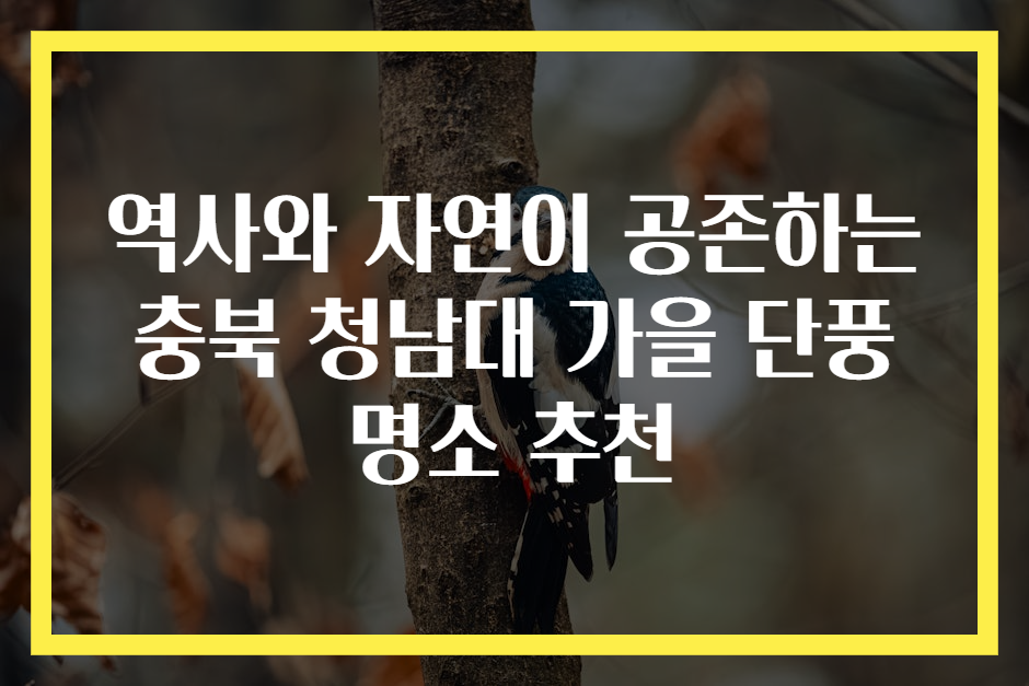 역사와 자연이 공존하는 충북 청남대 가을 단풍 명소 추천