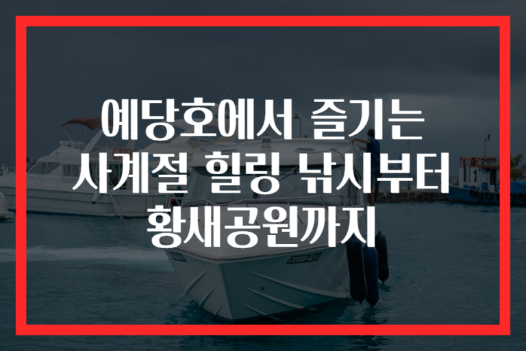 예당호에서 즐기는 사계절 힐링 낚시부터 황새공원까지