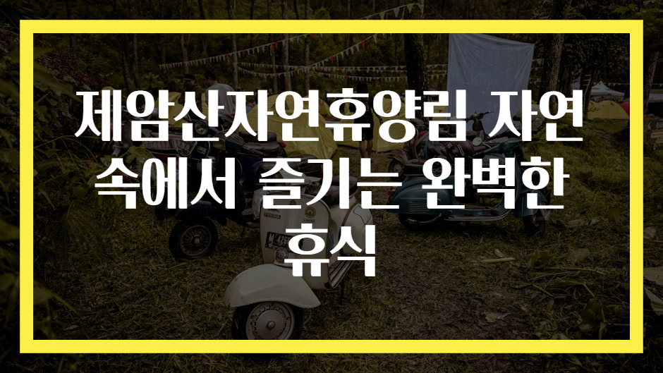 제암산자연휴양림 자연 속에서 즐기는 완벽한 휴식