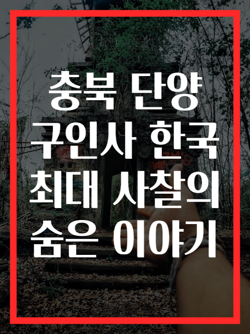 충북 단양 구인사 한국 최대 사찰의 숨은 이야기