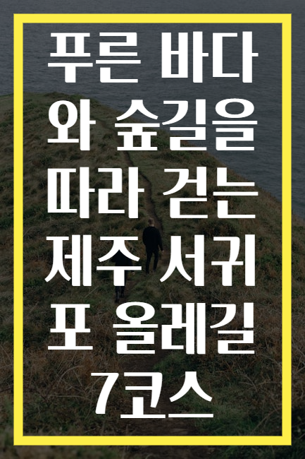 푸른 바다와 숲길을 따라 걷는 제주 서귀포 올레길 7코스