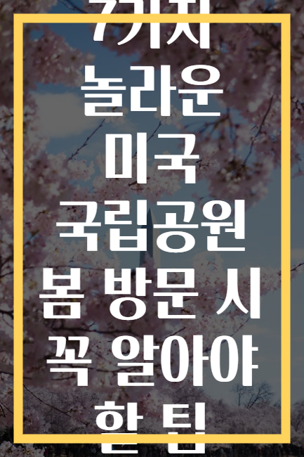 7가지 놀라운 미국 국립공원 봄 방문 시 꼭 알아야 할 팁