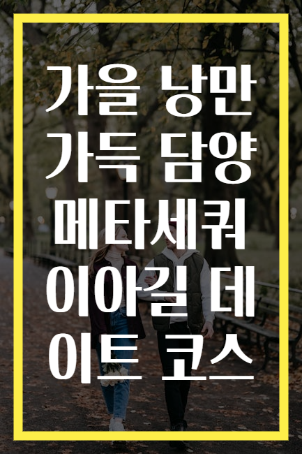 가을 낭만 가득 담양 메타세쿼이아길 데이트 코스