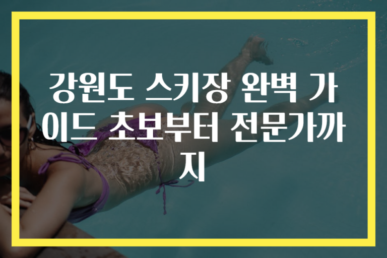 강원도 스키장 완벽 가이드 초보부터 전문가까지