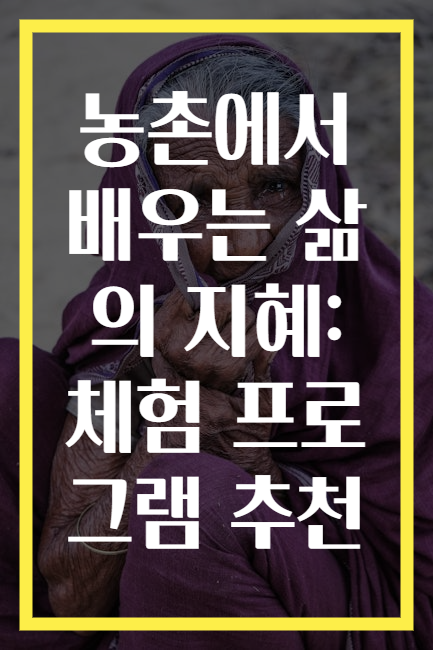 농촌에서 배우는 삶의 지혜: 체험 프로그램 추천