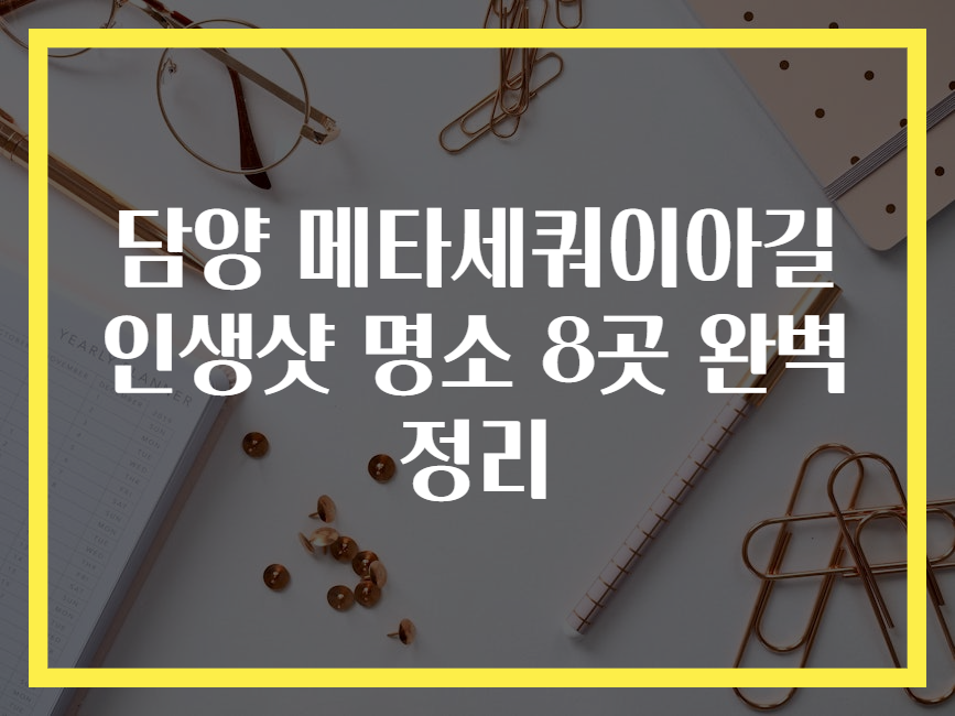 담양 메타세쿼이아길 인생샷 명소 8곳 완벽 정리