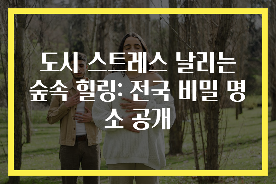 도시 스트레스 날리는 숲속 힐링: 전국 비밀 명소 공개