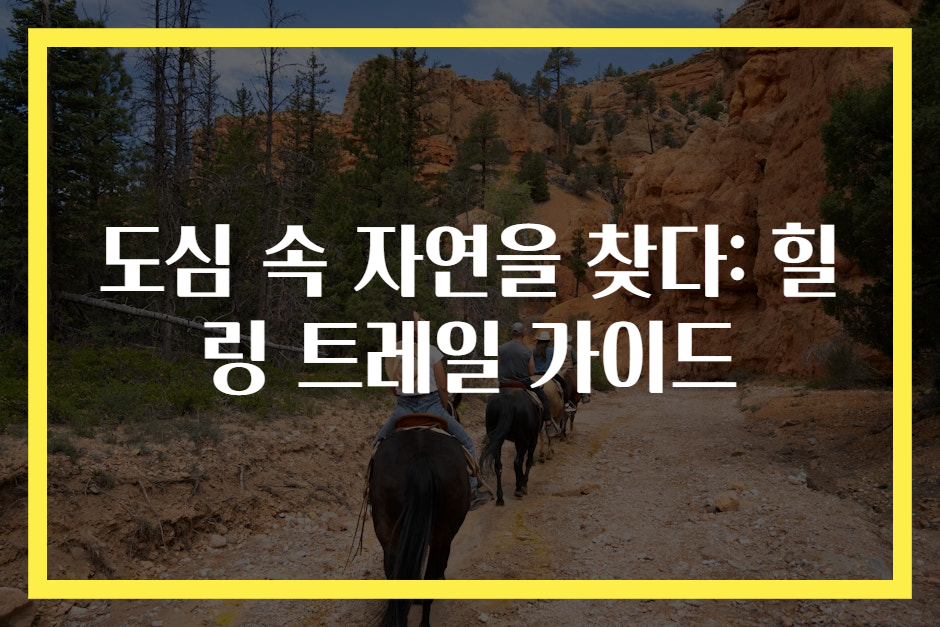 도심 속 자연을 찾다: 힐링 트레일 가이드