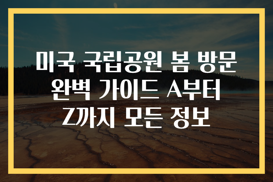 미국 국립공원 봄 방문 완벽 가이드 A부터 Z까지 모든 정보