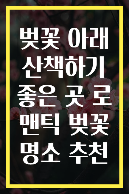 벚꽃 아래 산책하기 좋은 곳 로맨틱 벚꽃 명소 추천