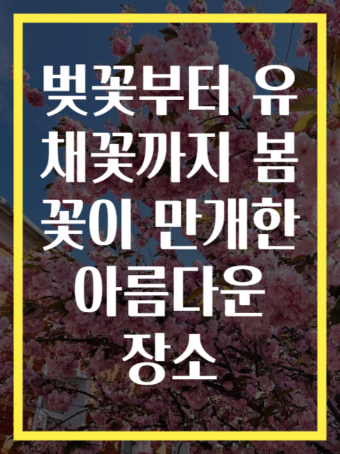 벚꽃부터 유채꽃까지 봄꽃이 만개한 아름다운 장소