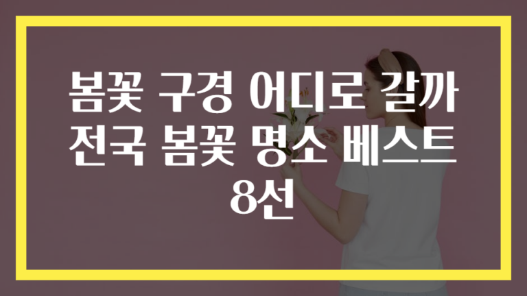 봄꽃 구경 어디로 갈까 전국 봄꽃 명소 베스트 8선