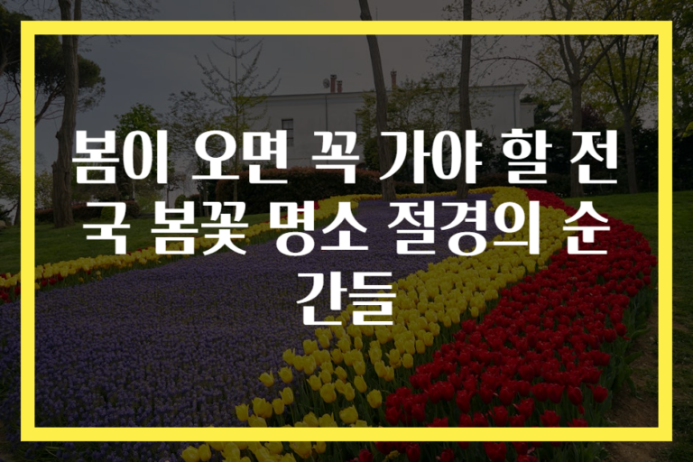 봄이 오면 꼭 가야 할 전국 봄꽃 명소 절경의 순간들