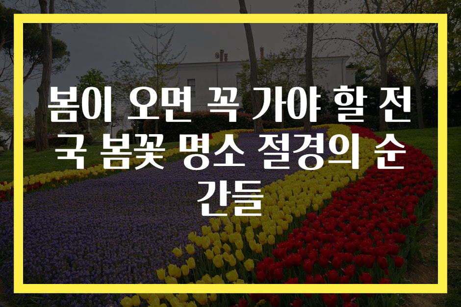 봄이 오면 꼭 가야 할 전국 봄꽃 명소 절경의 순간들