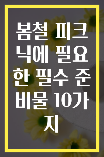 봄철 피크닉에 필요한 필수 준비물 10가지