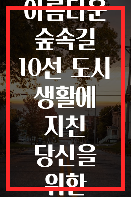 사계절 아름다운 숲속길 10선 도시 생활에 지친 당신을 위한 처방전