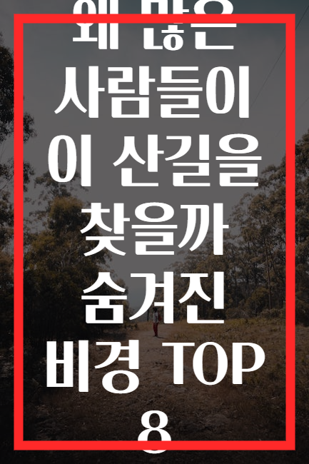 왜 많은 사람들이 이 산길을 찾을까 숨겨진 비경 TOP 8