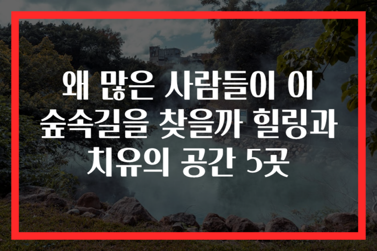 왜 많은 사람들이 이 숲속길을 찾을까 힐링과 치유의 공간 5곳