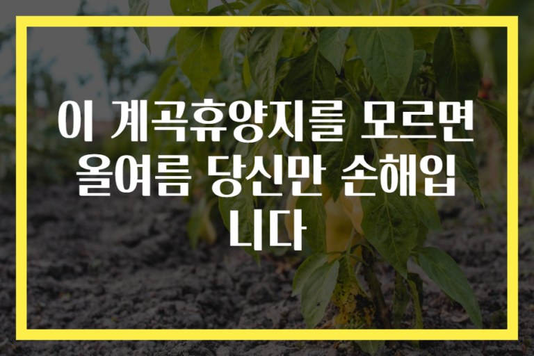 이 계곡휴양지를 모르면 올여름 당신만 손해입니다