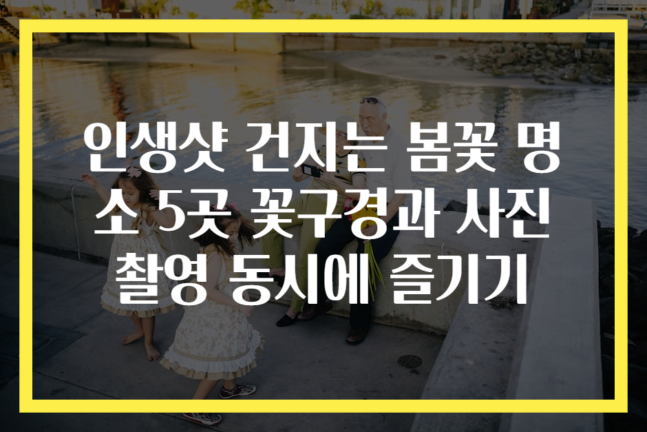 인생샷 건지는 봄꽃 명소 5곳 꽃구경과 사진 촬영 동시에 즐기기