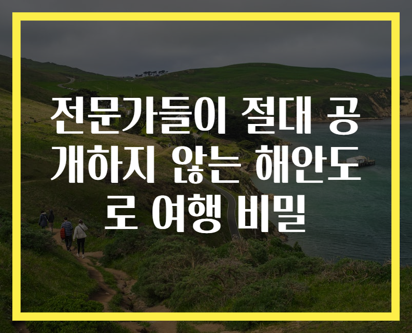 전문가들이 절대 공개하지 않는 해안도로 여행 비밀