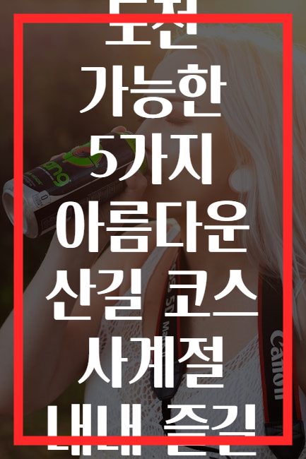 초보자도 도전 가능한 5가지 아름다운 산길 코스 사계절 내내 즐길 수 있는 곳