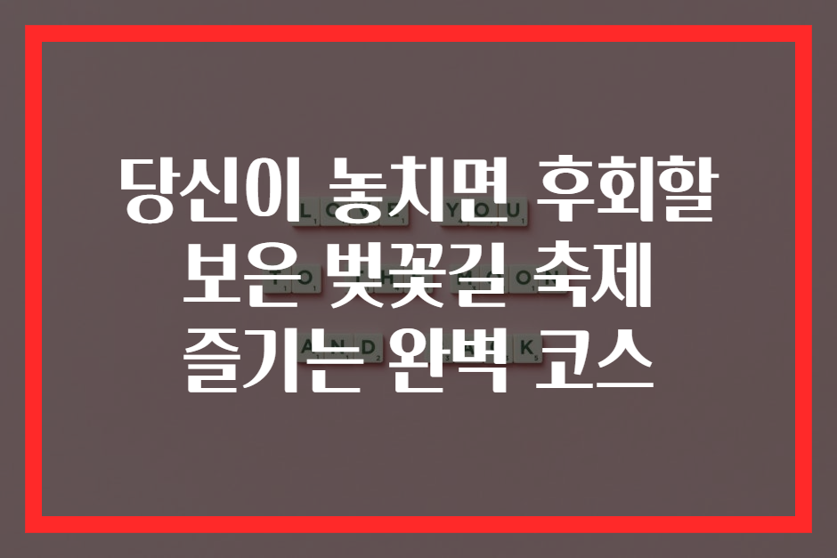 당신이 놓치면 후회할 보은 벚꽃길 축제 즐기는 완벽 코스