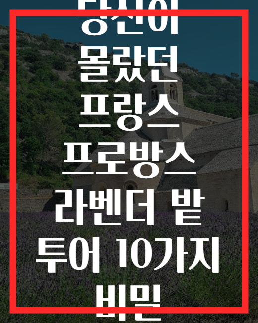 당신이 몰랐던 프랑스 프로방스 라벤더 밭 투어 10가지 비밀
