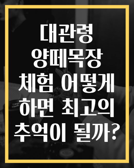 대관령 양떼목장 체험 어떻게 하면 최고의 추억이 될까?