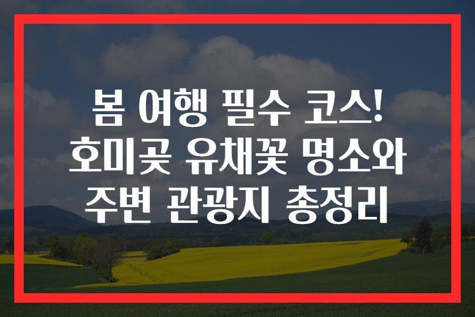 봄 여행 필수 코스! 호미곶 유채꽃 명소와 주변 관광지 총정리