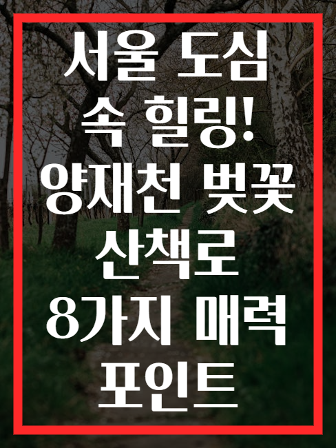 서울 도심 속 힐링! 양재천 벚꽃 산책로 8가지 매력 포인트