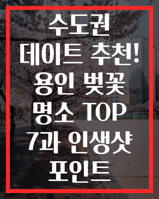 수도권 데이트 추천! 용인 벚꽃 명소 TOP 7과 인생샷 포인트