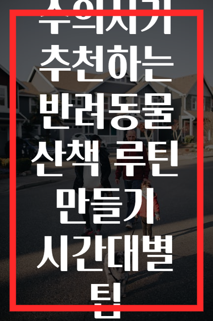 수의사가 추천하는 반려동물 산책 루틴 만들기 시간대별 팁