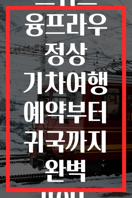 스위스 융프라우 정상 기차여행 예약부터 귀국까지 완벽 가이드