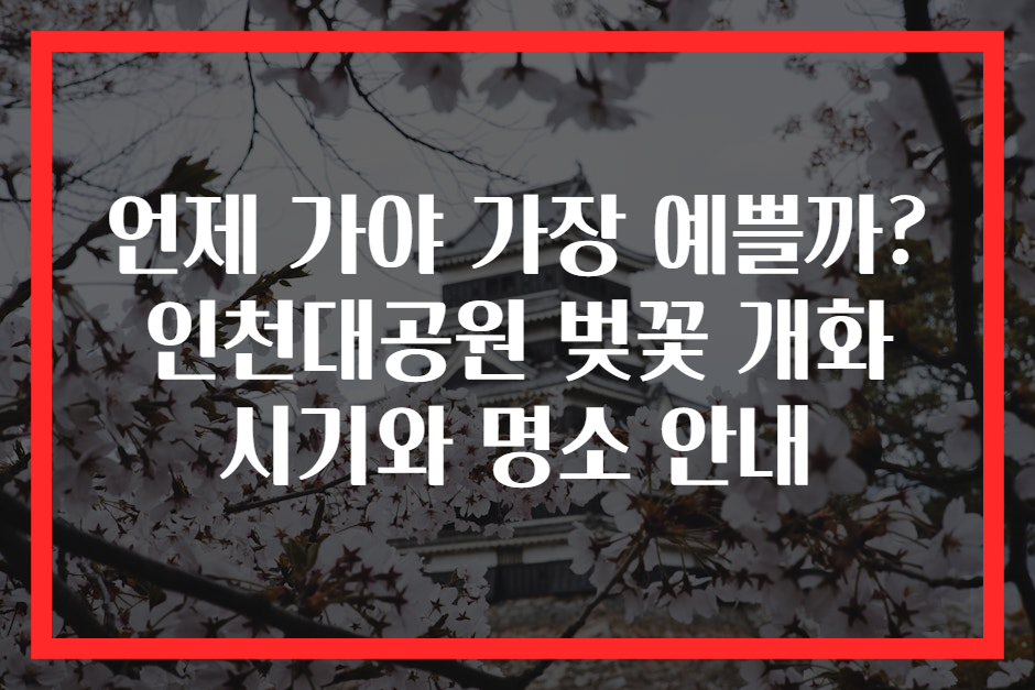 언제 가야 가장 예쁠까? 인천대공원 벚꽃 개화 시기와 명소 안내
