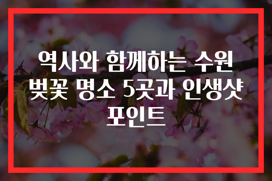 역사와 함께하는 수원 벚꽃 명소 5곳과 인생샷 포인트