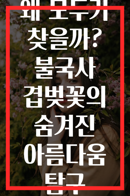 왜 모두가 찾을까? 불국사 겹벚꽃의 숨겨진 아름다움 탐구
