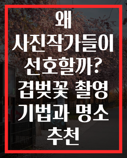 왜 사진작가들이 선호할까? 겹벚꽃 촬영 기법과 명소 추천