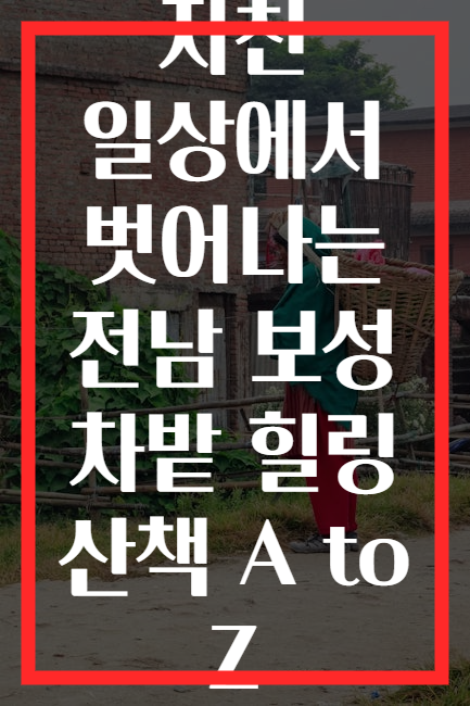 지친 일상에서 벗어나는 전남 보성 차밭 힐링 산책 A to Z