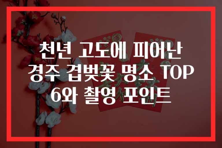 천년 고도에 피어난 경주 겹벚꽃 명소 TOP 6와 촬영 포인트