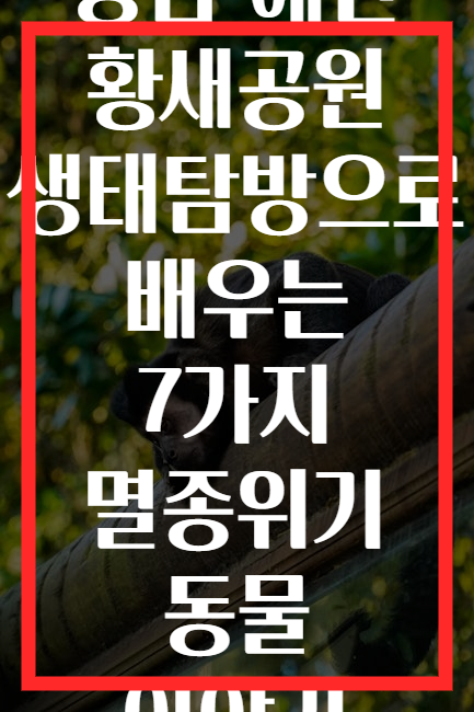 충남 예산 황새공원 생태탐방으로 배우는 7가지 멸종위기 동물 이야기