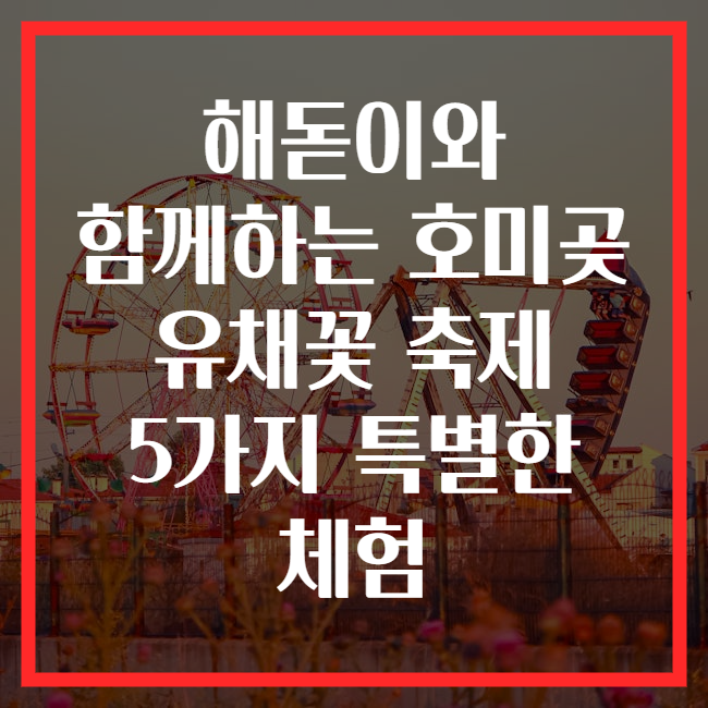 해돋이와 함께하는 호미곶 유채꽃 축제 5가지 특별한 체험